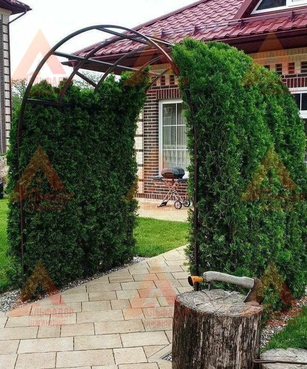 Садова арка Aura product image