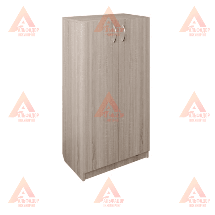 Шафа для навчальних закладів, шафа для вишу, шафа для школи, шафа для офісу, шафа для документів, шафа для папок, шафа для архіву, шафа канцелярська, шафа для аудиторії, шафа для вчительської, шафа для персоналу, шафа офісна ДСП, шафа з полицями, шафа з д