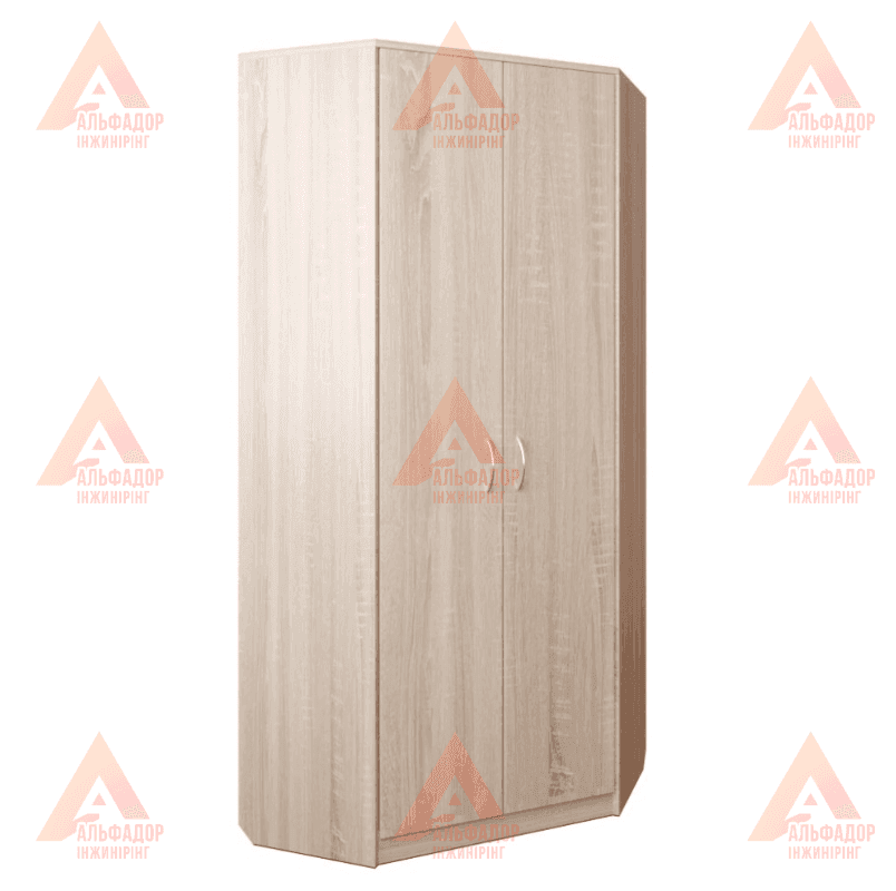 Шафа для навчальних закладів, шафа для вишу, шафа для школи, шафа для офісу, шафа для документів, шафа для папок, шафа для архіву, шафа канцелярська, шафа для аудиторії, шафа для вчительської, шафа для персоналу, шафа офісна ДСП, шафа з полицями, шафа з д