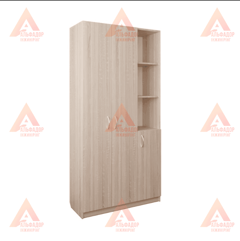 Шафа для навчальних закладів, шафа для вишу, шафа для школи, шафа для офісу, шафа для документів, шафа для папок, шафа для архіву, шафа канцелярська, шафа для аудиторії, шафа для вчительської, шафа для персоналу, шафа офісна ДСП, шафа з полицями, шафа з д