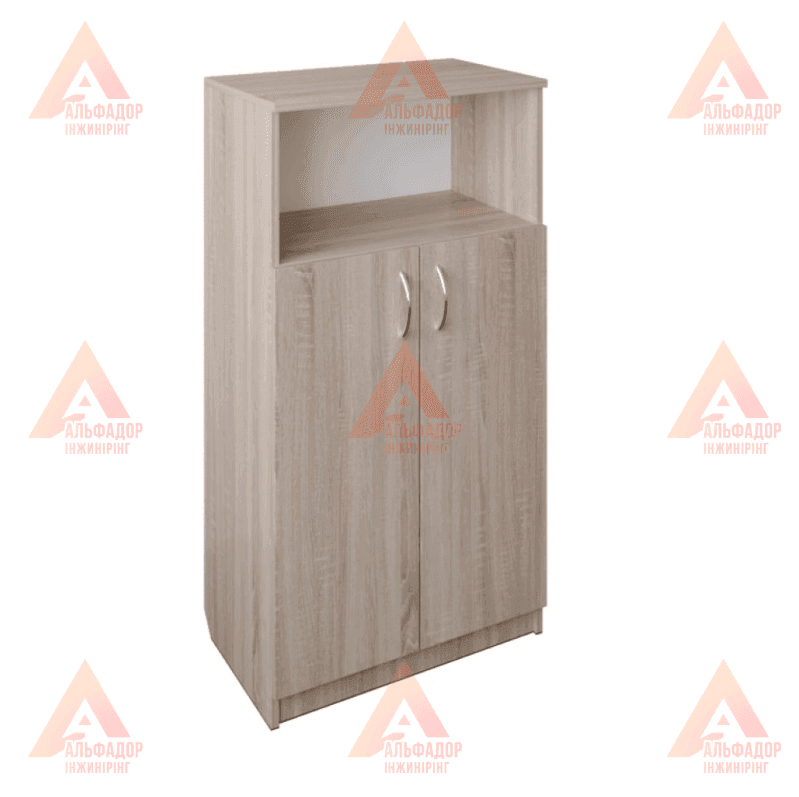 Шафа для навчальних закладів, шафа для вишу, шафа для школи, шафа для офісу, шафа для документів, шафа для папок, шафа для архіву, шафа канцелярська, шафа для аудиторії, шафа для вчительської, шафа для персоналу, шафа офісна ДСП, шафа з полицями, шафа з д