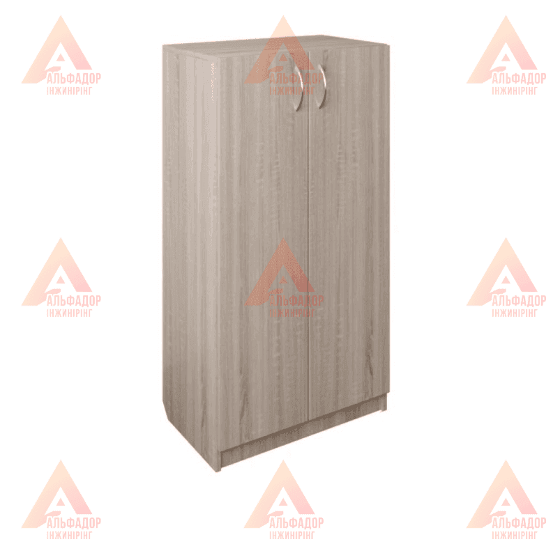 Шафа для навчальних закладів, шафа для вишу, шафа для школи, шафа для офісу, шафа для документів, шафа для папок, шафа для архіву, шафа канцелярська, шафа для аудиторії, шафа для вчительської, шафа для персоналу, шафа офісна ДСП, шафа з полицями, шафа з д