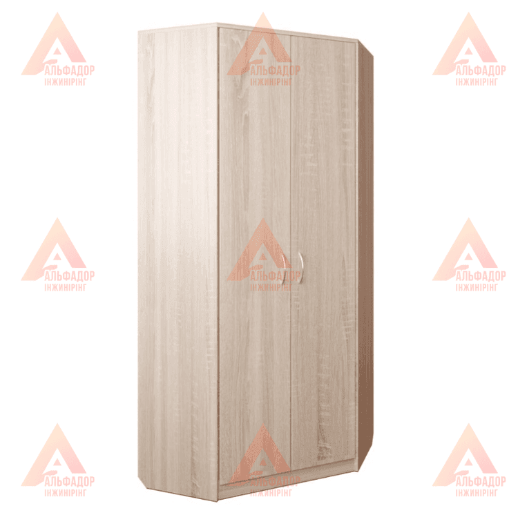 Шафа для навчальних закладів, шафа для вишу, шафа для школи, шафа для офісу, шафа для документів, шафа для папок, шафа для архіву, шафа канцелярська, шафа для аудиторії, шафа для вчительської, шафа для персоналу, шафа офісна ДСП, шафа з полицями, шафа з д